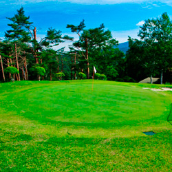 Enrei Golf Club Green