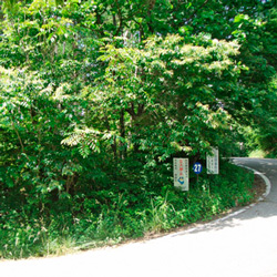Top end of property, looking North