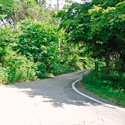 Road leading to Enrei Golf Course, looking South