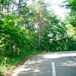 Top side of property, from roadside, looking north