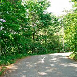 Top side of property, following road