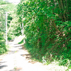 Bottom side of property, looking northeast to neighboring property