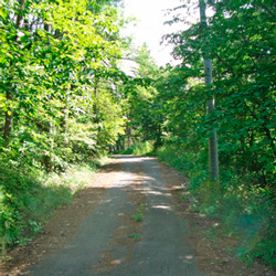 Bottom side of property, looking south back up the road